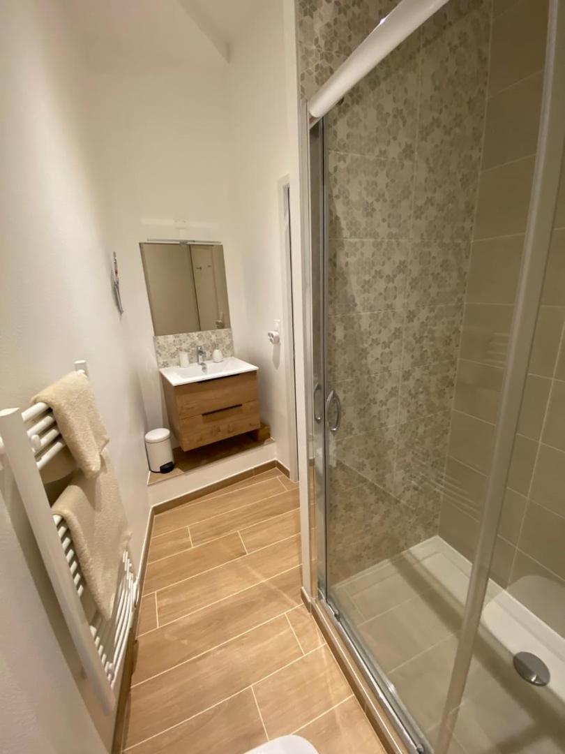 Comedy: Heart Of Town Facing The Na Region Apartment Poitiers